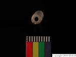 L_V20d4087 A16q27.2 R827 dM bd f17.JPG L_V20d4087 A16q27.2 R827 dM bd f17